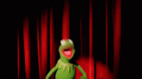 Freak Out Crazy Gif Freak Out Crazy Kermit Discover Share Gifs