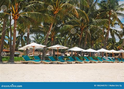 Tumbonas De Hennan Resort Playa De Alona Beach Panglao Island Bohol