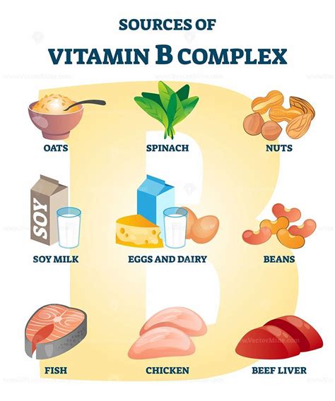 source of vitamin b complex with labeled healthy food nutrient example list vitamin b sources