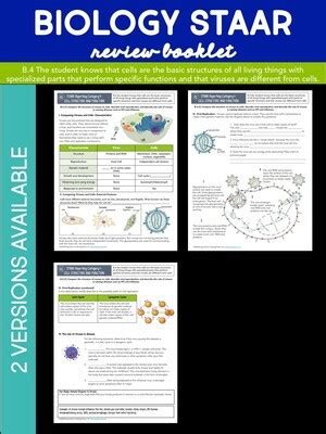 Biology staar (eoc) review material. STAAR Biology Review BUNDLE Categories 1-5 - Store ...