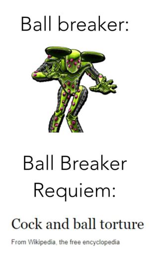 Ball Breaker Ball Breaker Requiem Cock And Ball Torture From Wikipedia