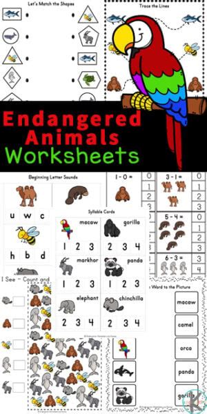 Endangered Animals Printable 1st 3rd Grade Teachervision Endangerd