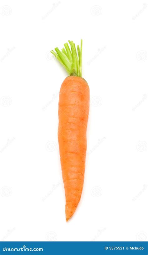 One Fresh Carrot Stock Image Image Of Fresh Carrot Vitamin 5375521