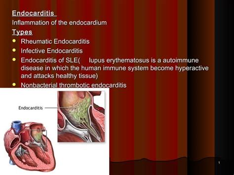 6infective Endocarditis Pathology