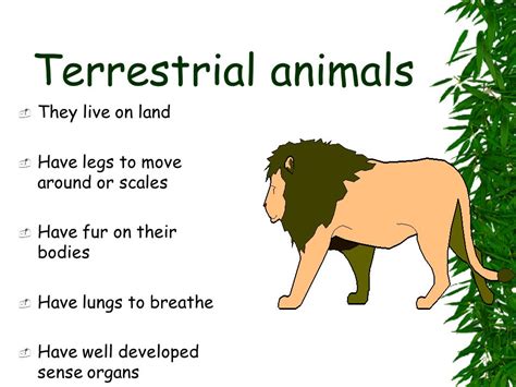 🎉 Definition Of Terrestrial Animals Non 2019 02 27