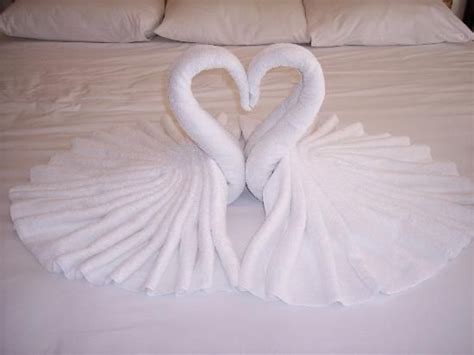Step By Step Towel Origami Swan - Jadwal Bus