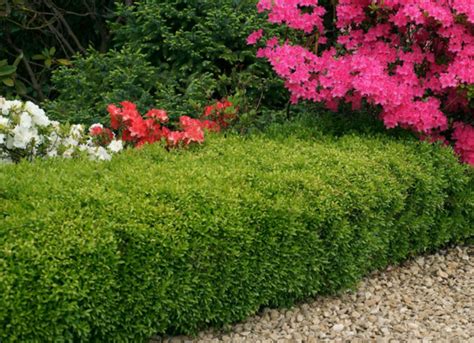 11 Garden Fence Ideas Bob Vila
