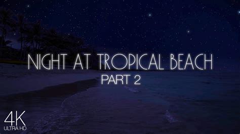 4k Starlit Night At Tropical Beach Part 2 Proartinc