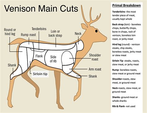 Venison Cuts Chart