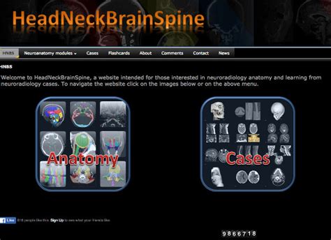 Radiological Dream Web Head Neck Brain Spine
