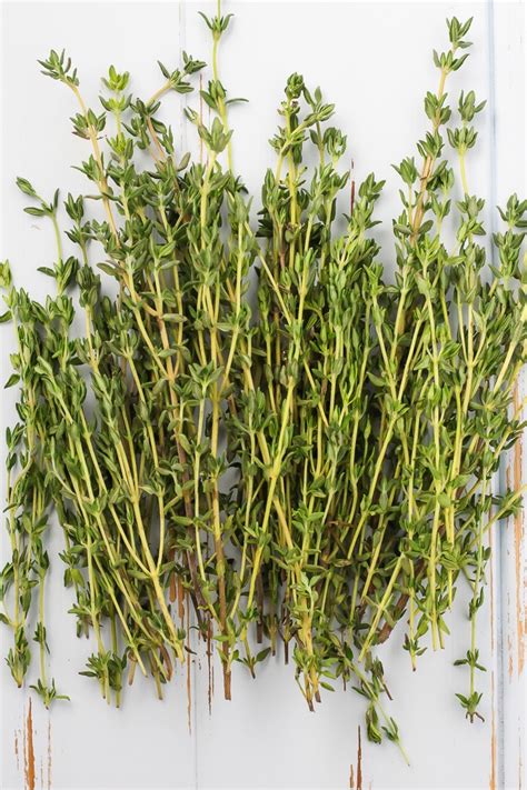 How To Make Thyme Tea With Fresh And Dried Thyme