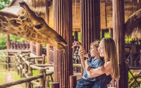 The 15 Best Zoos In The World Our Favorites In 2023 Travellers