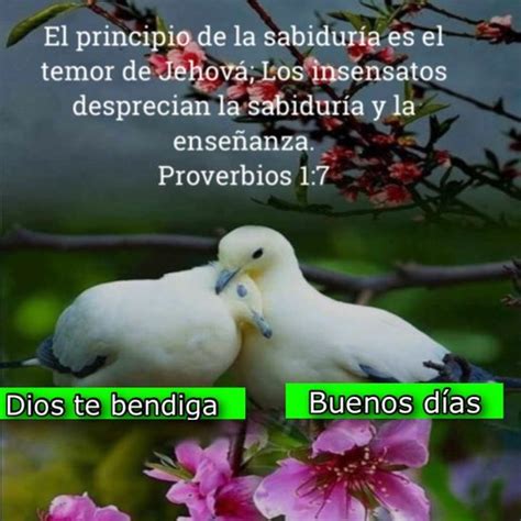 Top Imagen Imagenes De Buenos Dias Con Versiculos Biblicos Thptnganamst Edu Vn