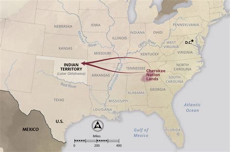 Removal Of The Cherokee Nation Interactive Case Study