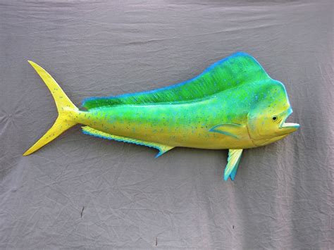 Dolphin Mounts Replica Mounts From New Wave Taxidermy