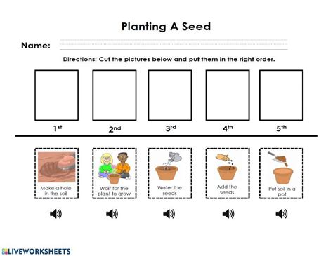 Planting A Seed Sequence Worksheet Live Worksheets