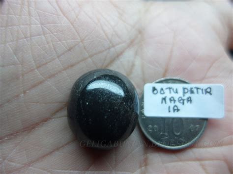 Check spelling or type a new query. BLOG UTAMA Y.M PADUKA AYAHANDA PAY 8: BATU PETIR NAGA BERLUMUT