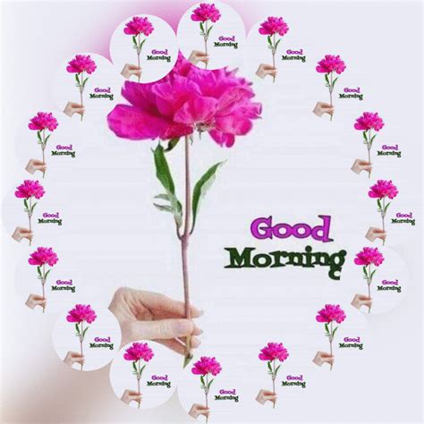 You can click on any glitter image to open specific good morning gif detail. Good Morning GIF Animation Images And Videos | More