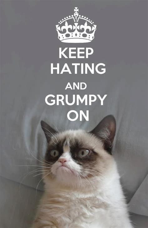 Pin By Cinnamon Ginger On ツ Keep Calm And Laugh Often Grumpy Cat