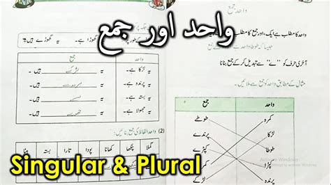 Wahid Jama Class 2 Urdu Lesson Punjab Textbook واحد اور جمع Youtube