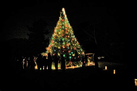 Dec 9 Holiday Tree Lighting Planting Fields Arboretum Long Island