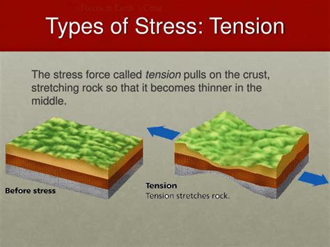 Ppt Forces In Earth S Crust Powerpoint Presentation Free Download