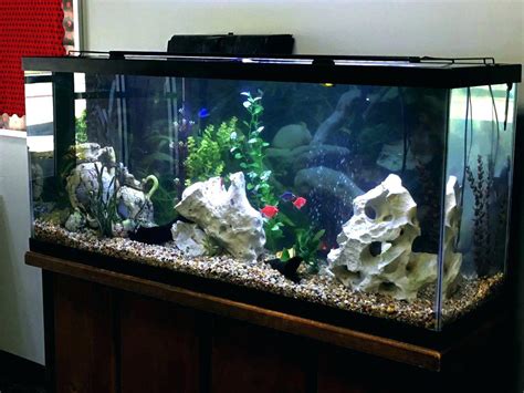 Maybe you would like to learn more about one of these? 12 Best 55 Gallon Fish Tank & Aquarium Kits Reviews 2020