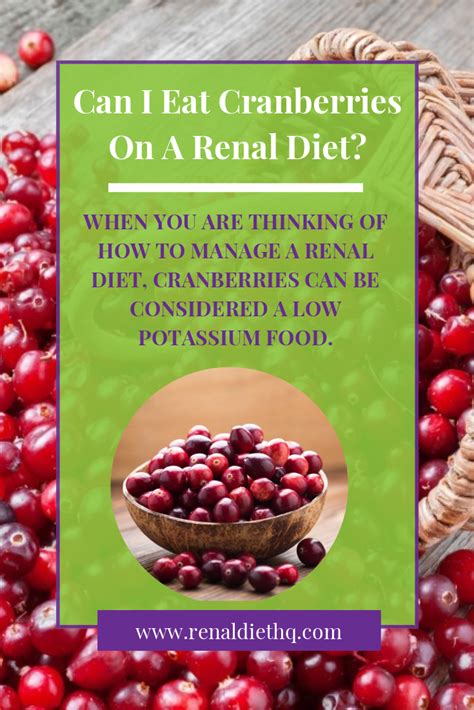 With intensive insulin therapy you need a low steady level of insulin overnight, fasting, and between meals, and a rapid surge of insulin at mealtime. A renal diet is usually restricted from several different nutrients, specifically protein ...