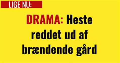 Drama Heste Reddet Ud Af Brændende Gård Nyhed24dk