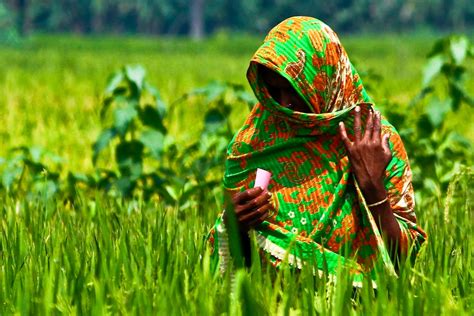 Women Farmers Empowerment Is A Key Ingredient For Social Sustainability Rice Today