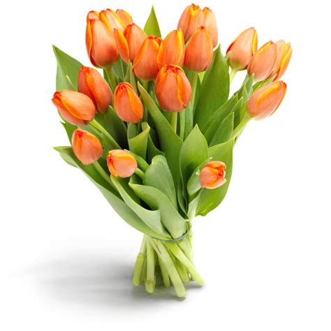 Orange Tulip Bouquet │ Flower Delivery With Euroflorist