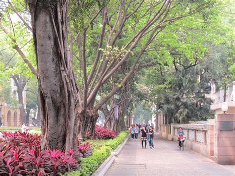 Muzium ini merupakan salah satu tempat menarik di guangzhou yang terbaru tetapi sejak 2004, ia telah menjadi tumpuan utama di pusat guangzhou. 10 Tempat Wisata di Guangzhou yang Wajib Dikunjungi