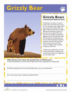 2016 · 6.63 mb · 51,588 downloads· english. Grizzly Bear | National parks, Animal worksheets, Grizzly bear facts