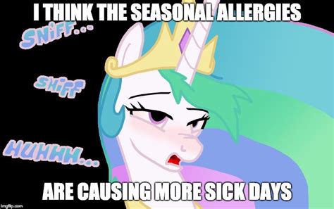 Image Tagged In Royal Sick Pony Imgflip