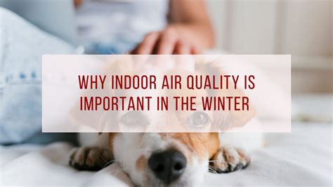 Why Indoor Air Quality Is Important In The Winter