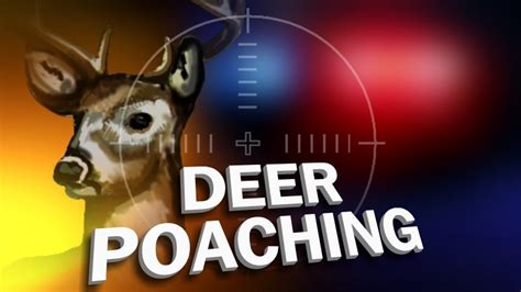 Man Nabbed For Poaching Deer