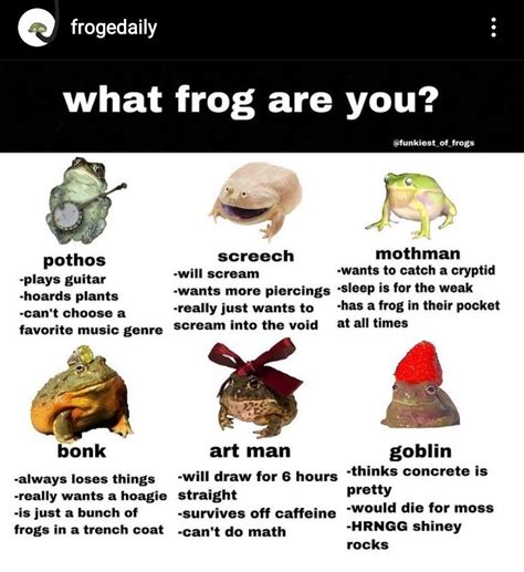 Pin By 𖡼𖤣𖥧𖡼𖤣𖥧 On Ranas Frog Pictures Cute Frogs Stupid Funny Memes