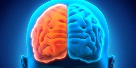 Zaburzenia Neurologiczne 3 Ciekawe Przykłady Piękno Umysłu