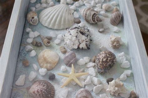 Making a seashell coffee table is a quick and easy project but what makes this really interesting is how creative your custom table can be. How To Make A Beautiful Sea Shell Shadow Box Table ...