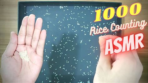 Rice Asmr I Counted 1000 Grains Of Rice So Satisfying Asmr Video