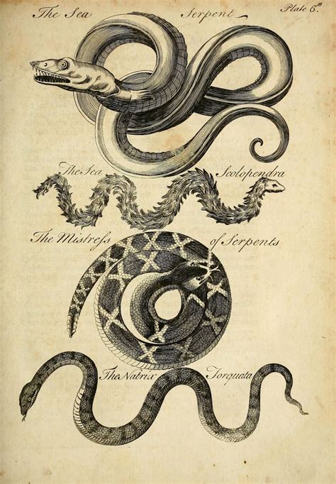 Charles Owen An Essay Towards A Natural History Of Serpents 1742