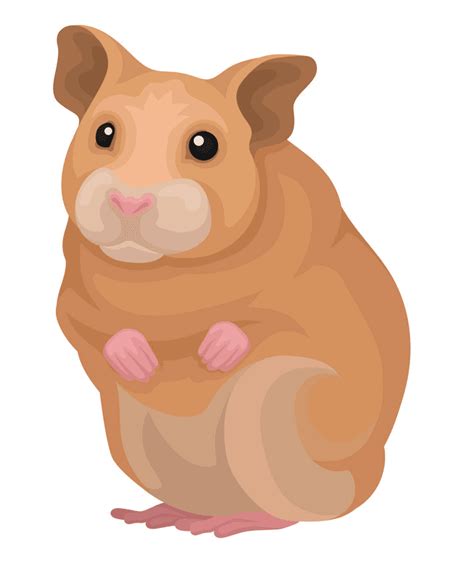 Hamster Clipart Clipartworld