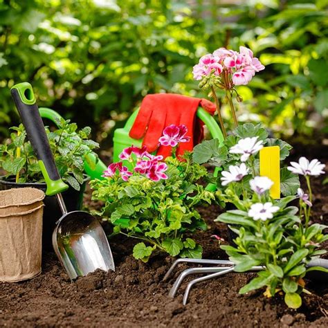 Check spelling or type a new query. Country Gardens Nursery - Weber County's Best Kept Secret