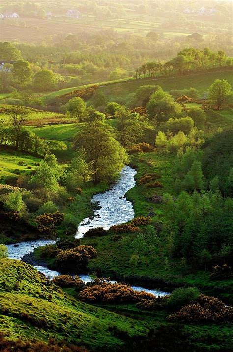 Mountain Stream In The Lush Valley Of The River Roe Near Dungiven