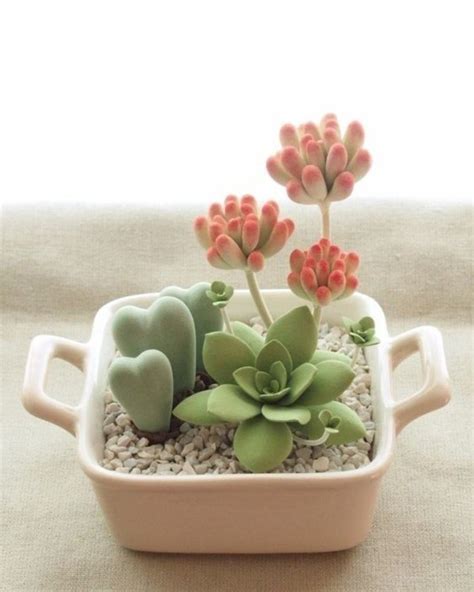 Repotting Succulents The Right Way Succulent City