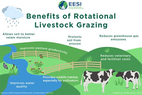 The Climate and Economic Benefits of Rotational Livestock Grazing