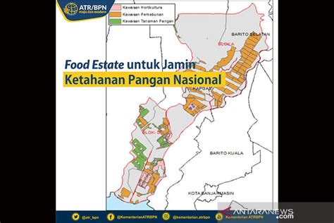 Menjawab Ancaman Krisis Pangan Lewat Food Estate Di Lahan Rawa