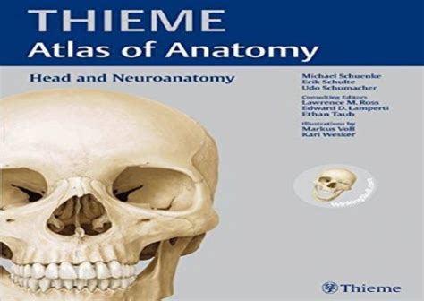 Head and Neuroanatomy (THIEME Atlas of Anatomy) (Thieme Atlas of