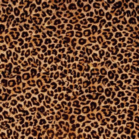 12 X 12 Cheetah Decal Vinyl Animal Print Trendy Etsy Leopard Print