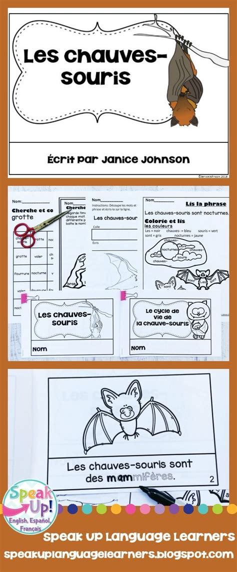 Les Chauves Souris French Bat Reader Cycle De Vie De La Chauve Souris